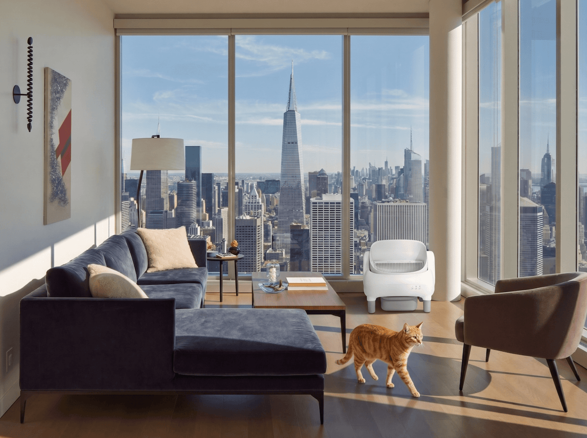Suite™ by Boss & Coco - B&C